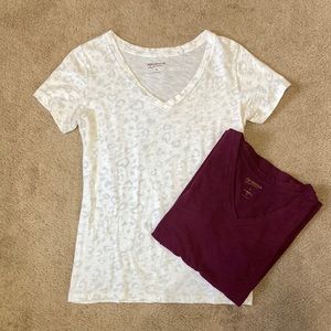 Arizona Jeans V-neck tee bundle, medium